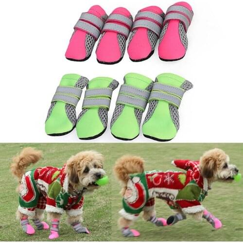 Fanchicefanst Shoes For Dogs