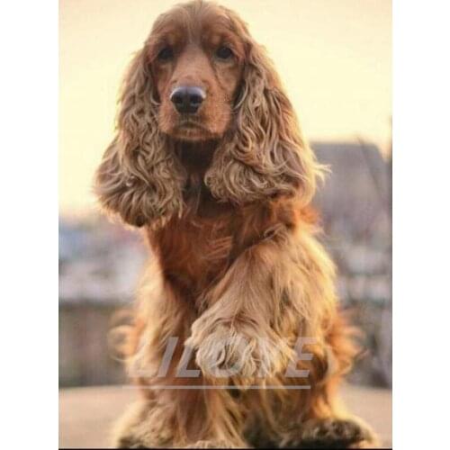 DIY Diamond Painting British cocker spaniel Full Square round Diamond Mosaic pet dog 5D Diy Diamond Embroidery Rhinestones DF340