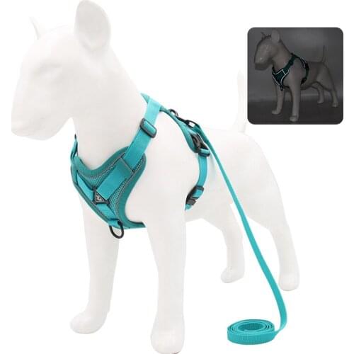 Legendog Dog Harness And Leash Set Polyester Pet Kitten Collar For Chihuahua Pug Small Medium Dog Walking Lead Leash
