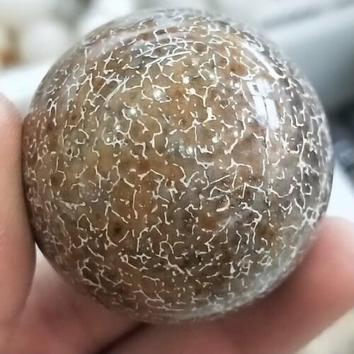 35-55mm Natural dinosaur bone fossil sphere dragon bone specimen Globe Ball Rock stones and Mineral Reiki Healing Home decor