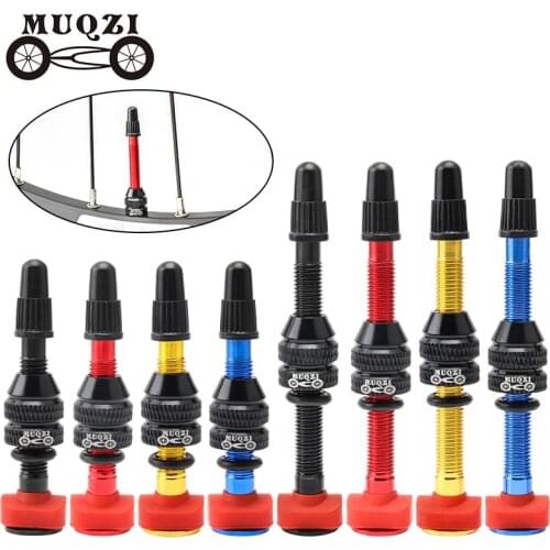 Muqzi 1Pcs Bike Presta Tubeless Air Valve 40Mm 60Mm Tubeless Wheel Tyre F/V Klep Mtb weg Fietsband Onderdelen W/Tool