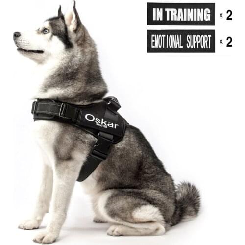 FML Pet Harnesses Personalized Dog Harness for Large Dogs Padded Collar Removed Custom Patches ID Tag Pet Name Reflective Vest