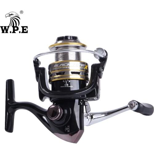 W.P.E Spinning Fishing Reel BT Series 5.1:1 2000 3000 4000 5000 with 9+1 Ball Bearings 8KG Max Drag Power Fish Wheel