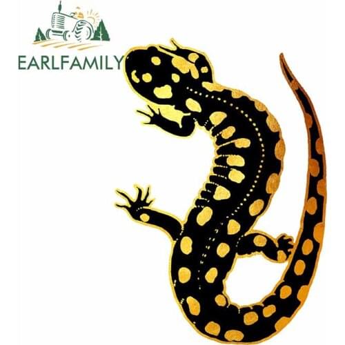 EARLFAMILY 13cm x 9.2cm for Black Golden Salamander Personality Car Stickers Bumper Cartoon Decal Refrigerator Vinyl Car Wrap