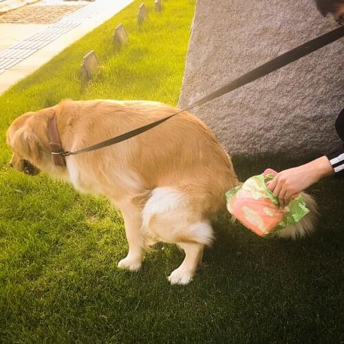 Pet Dog Portable Squatting Shovel Teddy Stool Treatment Device