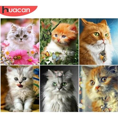 HUACAN Coloring By Numbers Cat Oil Painting Art Gift DIY Pictures By Number Canvas Flower Kits Home Decoration