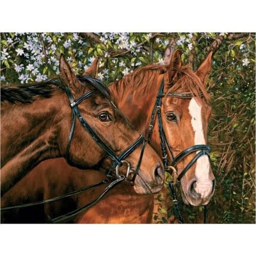 Horse Couple Diamond Painting Full Animals Diamond Dotz Mosaic Embroidery Picture Crystal Stones Stickers Decal Wall Art Craft