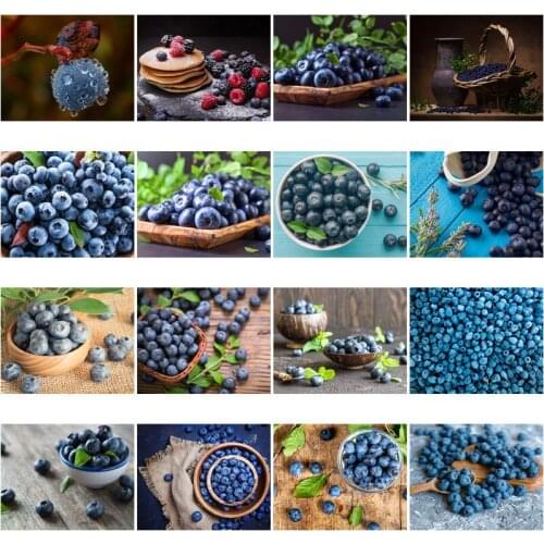 Diamond Painting Blue Fruit Blueberry DIY 5D Diamond Embroidery Full Round Square Resin Mosaic Cross Stitch Kit Home Decoration