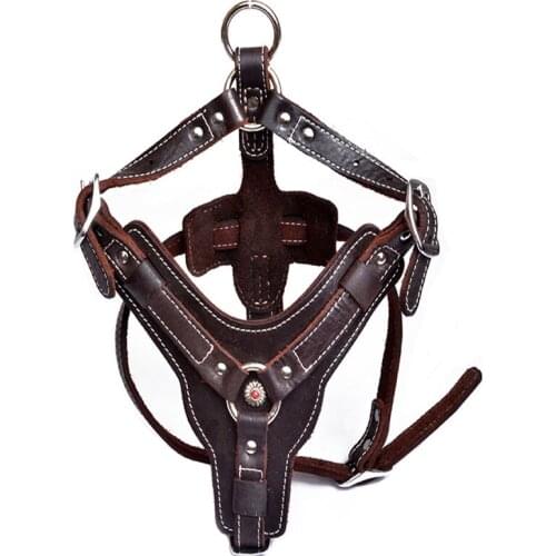 Shaggy Kid Harnesses