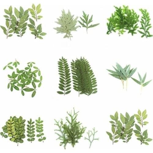 60pcs Pressed Dried Flower Natural Leaf Handmade Herbarium For Epoxy Resin Jewelry Making Makeup Face Nail Art Craft DIY