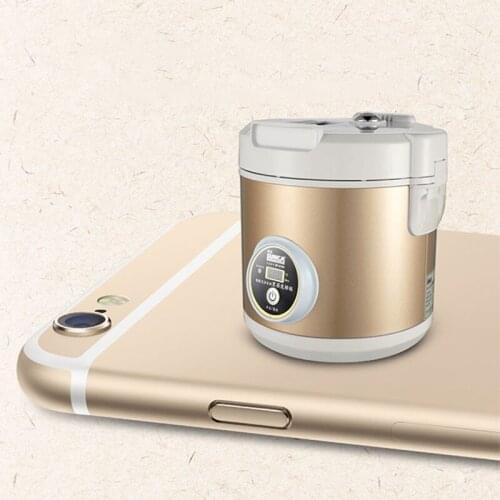 All smart black fermentation machine garlic zymosis garlic kitchen utensils black garlic machine from kitchen tools 1pc