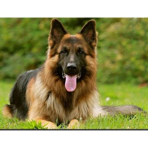 5D DIY Diamond Embroidery,Animal German Shepherd Dog Pet customization Diamond Painting,Cross Stitch,3D,Diamond Mosaic,Christmas