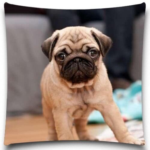 A dog on the floor Cushion Cover Cotton Polyester Pillow Case 5 Size 9 Style Christmas Gift Cushion Cover Sofa Bed Decor