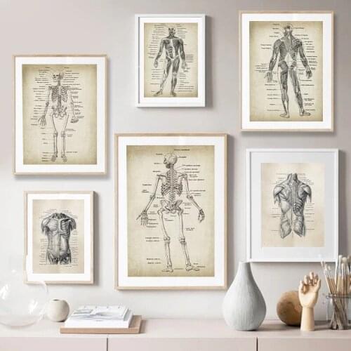 Skeleton Print Human Medical Anatomy Skeleton Illustration Poster Clinic Wall Art Canvas Painting Doctors Office Decor