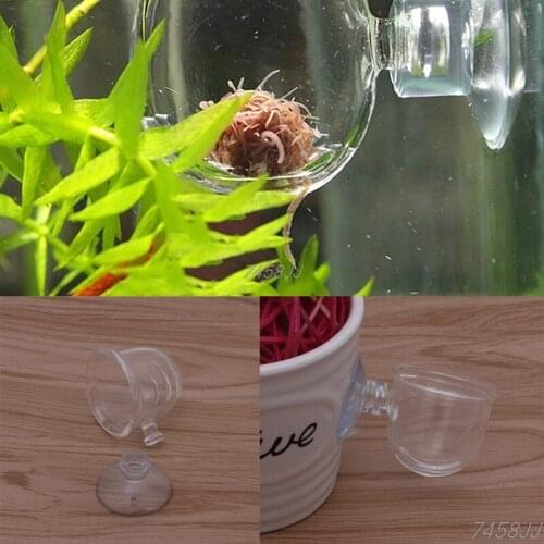 1pc Glass Pot Plant Kerf Cup Holder Shrimp Aquarium Fish Tank Aquatic Feeder New G03 Drop ship