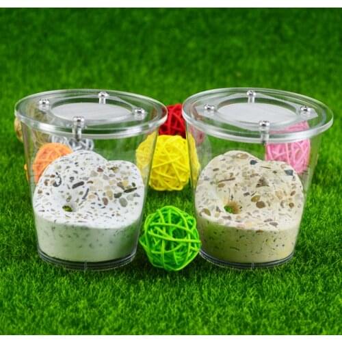 Mini Ant Nest Acrylic Sand Gypsum Mix Cup Nest Ant Workshop Villa Unique Gifts