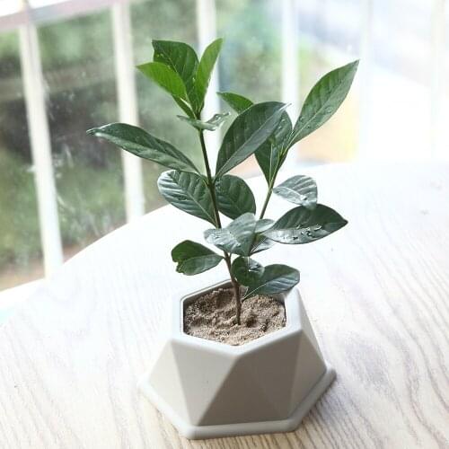 New Silicone Mold Big Size Hexagons Concrete Fleshy Flower Pot Candlestick Mold Ceramic Clay Handmade 3D DIY Crafts Ceramic Mold