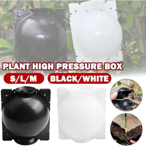 5Pcs Plant Rooting Ball Botany Grafting Growing Breeding Controller Case Automatic Buckle Garden Plant Propagation Box Sapling