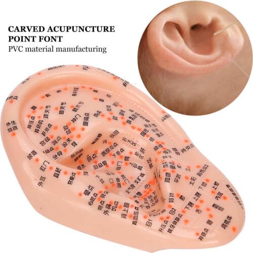 Durable PVC Human Ear Acupuncture Model with Acupuncture Points Ear Massage Model for Home Teaching Use Study Practice Tool