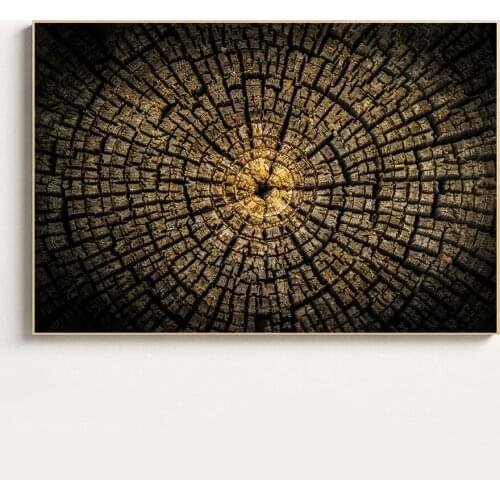 Hanging Wall Art Tree Ring Tree Stump Posters and Prints Wall Pictures for Living Room Decoration Wood Artist Modern Minimalist