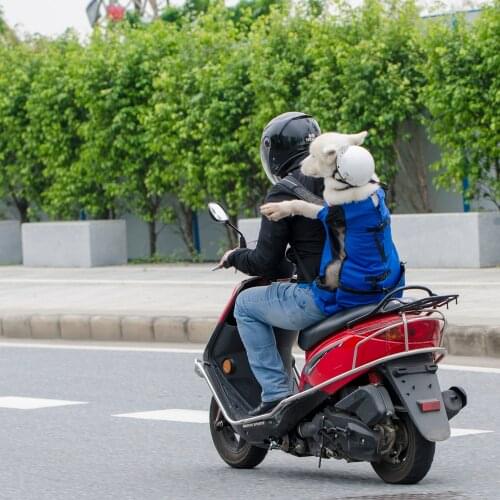 Fashional Motorcycles Pet Backpacks Travel Motorcycle Pet Bag Suitable For Cats Dogs Pets