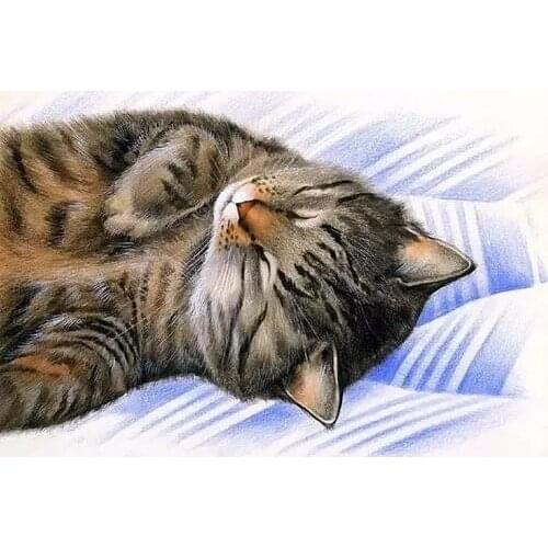 Sleepy Tabby Cat Cute Cross Stitch Kits Crafts Top Quality Embroidery Sewing Needlework DIY 14CT Unprinted Decor Handmade