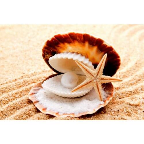 Pearl & Starfish on beach Art Film Print Silk Poster Home Wall Decor 24x36inch