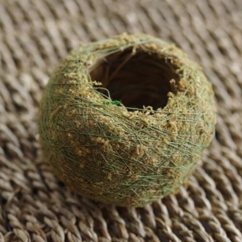 Горшки для растений Waasoscon China At AliExpress