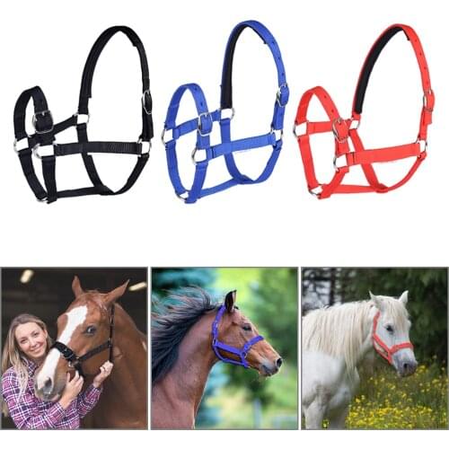 The latest horse riding thickened horse head collar adjustable safety harness bridle collar horse racing equipment training rope