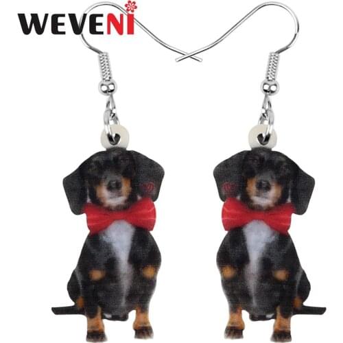 WEVENI Acrylic Valentines Day Headband Dog Earrings Animal Drop Dangle Jewelry For Women Girls Teens Decorations Gift Accessory
