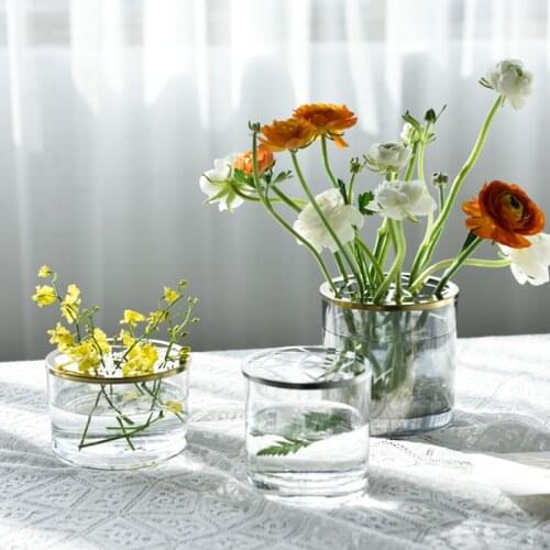 Transparent Hydroponic Glass Vase Nordic Decoration Home Vases for Flowers Living Room Decoration Terrarium Home Decor Flower