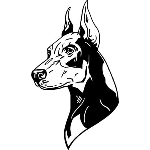 Dawasaru Doberman Pinscher Dog Car Sticker Personalized Decal Laptop Suitcase Truck Motorcycle Auto Accessories PVC,21cm*12cm