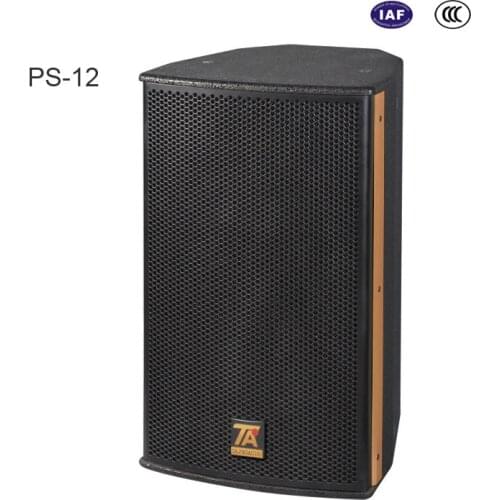12 inch 300W passive audio speaker