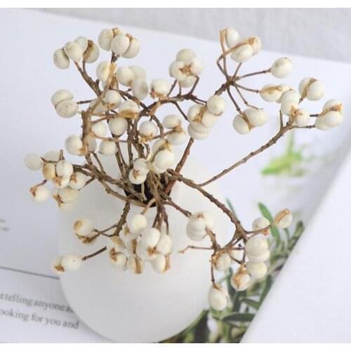 Dried Flowers Natural Cotton Wedding Decoration Home Decor Plants Natural Dried Flower Decorations Festive Party Supplies Garden