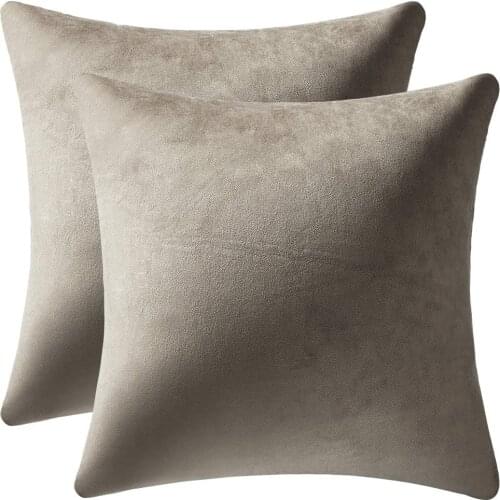 Decorative Feel Comfortable Pillow Covers 45*45cm 2 Pack Cozy Soft Velvet Square Throw Pillow Cases For Farmhouse Home Decor