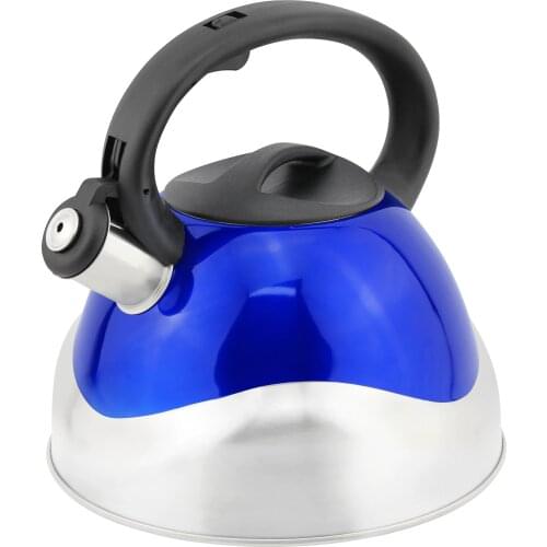 Hausroland Whistling Kettle Induction Kettle 3.0L Popular Color Coffee Tea Kettle