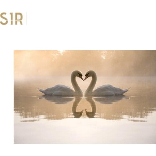 Swan Lake Architectural Decoration Canvas Painting Wall Art Picture Board Mural Nordic Posters and Prints Poster Love Sheets