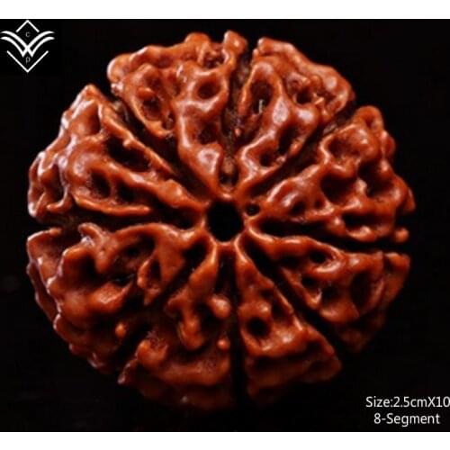 Rudraksha 8 Segments 25mmX10 Fleshy Buddha Bead Bracelet