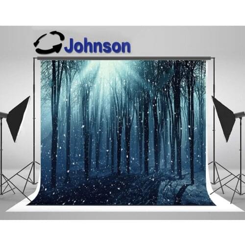 Winter woods Trees Foggy Snowy Sunshine photo backdrop High quality Computer print wall photo studio background