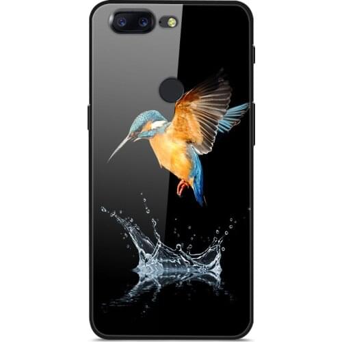 Glass Case For Oneplus 5T Phone Case Phone Cover Phone Shell Back Bumper Series 1