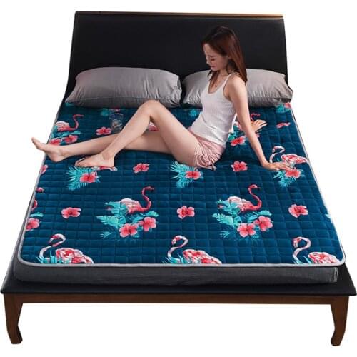 Thick Mattress Cover Nonslip Bed Mattress Protector Cover Anti-Bacteria Mattress Topper Air-Permeable Bed Pad Four Seasons