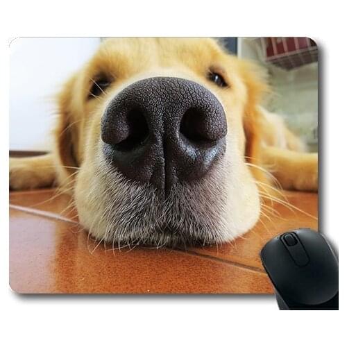 Custom Mouse Pad Funny Dog,Fuça Muzzle Dog Golden Retriever Animal Race Nose,gaming mouse mat