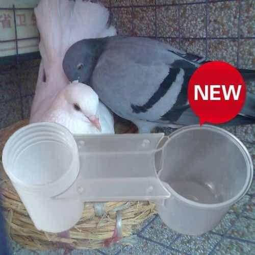 Chicken Pigeons Bird Water Bottle Fountain Drinker