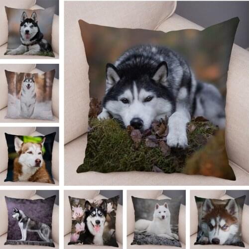 Cute Siberian Husky Pet Animal Cushion Cover for Sofa Car Decor Dog Printed Pillowcase Super Soft Short Plush Pillow Case 45*45