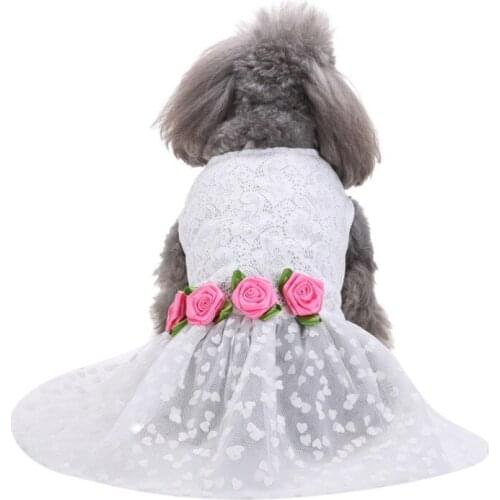 Pop It Dog Clothes Pet Accessories Dog Clothing For Chihuahua French Bulldog Small Dogs Summer Dogs Dress Skirt Puppy Accessorie