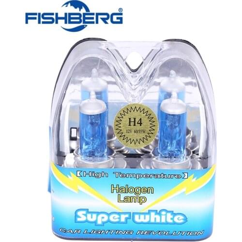 2PCS H4 55W Halogen with Packing Box High Power Fog Lights Auto Bulbs 5500-6000K 12V Headlight for Ford Car Styling Parking