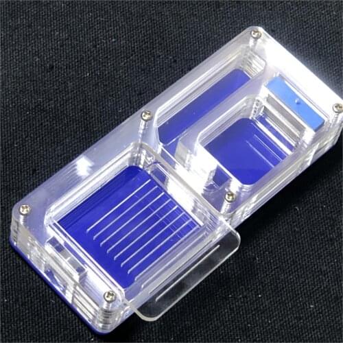 DIY Acrylic Ant Farm maze with Feeding Area Ants House Factory Ant Nest Villa Insect spong moisturing Nest Pet Anthill