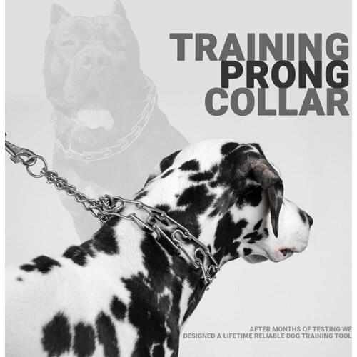 Metal Collar Dog Chain Obedience Training Easy Walking Command Correction Choker To Stop Pulling Dog Training Collar