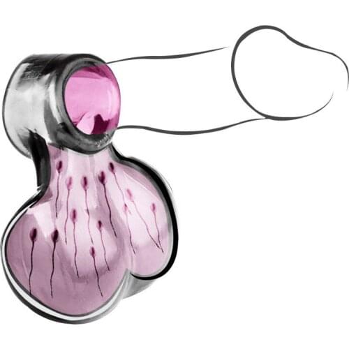 FX Squeeze Ball Testicular Penis Cock Ring Scrotal Pouch Toy Erection Enhancer Delayed Ejaculation Sex