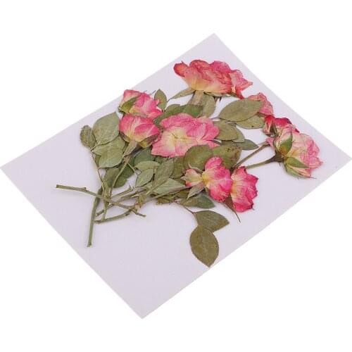 10 Pieces Natural Rose Buds with Branch Real Pressed Dried Flowers For Art Paper Making Gift Packaging Material DIY Project
